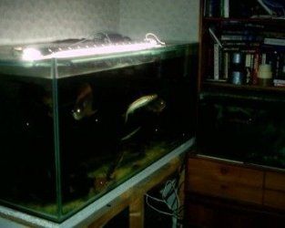 big_full_shot.jpg big_full_shot.jpg