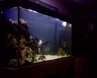 full_brackish.jpg full_brackish.jpg