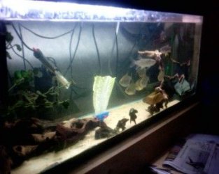 full_70.jpg full_70.jpg