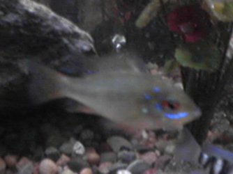 _CID__1024052059.jpg _CID__1024052059.jpg