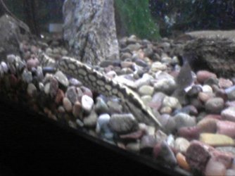 _CID__1024052059a.jpg _CID__1024052059a.jpg