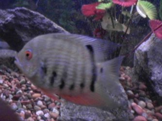 _CID__1024052100.jpg _CID__1024052100.jpg