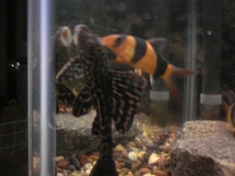 _CID__1024052101.jpg _CID__1024052101.jpg