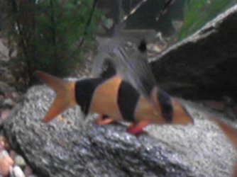 _CID__1024052101a.jpg _CID__1024052101a.jpg