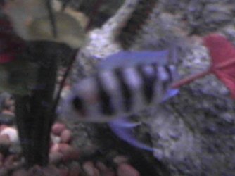 _CID__1024052103.jpg _CID__1024052103.jpg