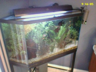 Set73_04.jpg Set73_04.jpg