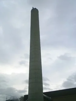 tower.webp