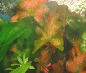 DSCF0019__Medium_.webp