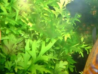 DSCF0024__Medium_.webp