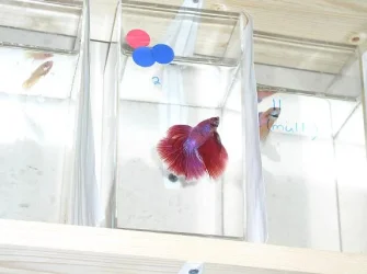 P1010148sm.webp