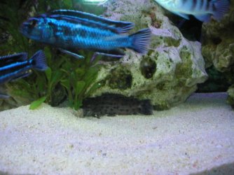 P1010003.JPG P1010003.JPG