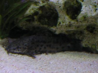 P1010007.JPG P1010007.JPG