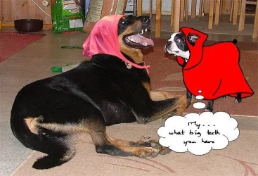untitled1.webp untitled1.webp