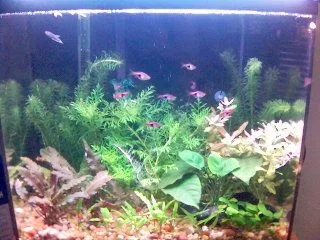 15g_Nov_7_2005.webp