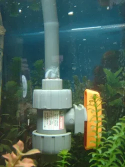 DSC00024.webp