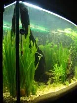 tank4.webp