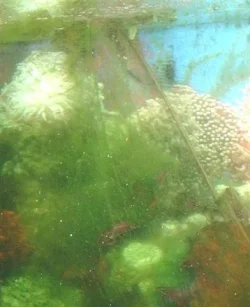 DSCF0006__Medium___Small_.webp