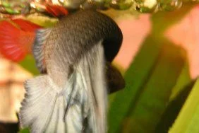 wrap_1.webp