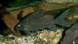 untitled.jpg untitled.jpg