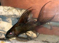 untitled1.jpg untitled1.jpg