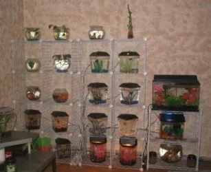 IMG_0714_1.webp