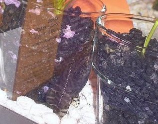 untitled.jpg untitled.jpg