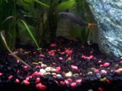 12_0001.jpg 12_0001.jpg