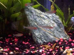 12_0002.jpg 12_0002.jpg