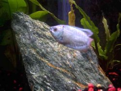 12_0003.jpg 12_0003.jpg