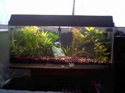 12_0020.jpg 12_0020.jpg