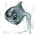 Google_Fish.jpg