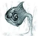 Google_Fish.webp