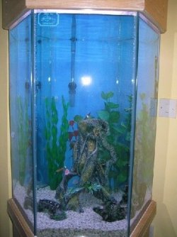 Nov21565.JPG Nov21565.JPG