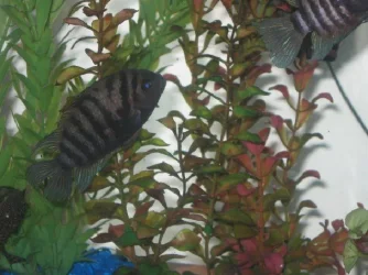 mini_Picture_059.webp