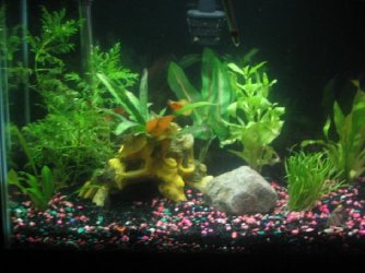 mini_Picture_016.jpg