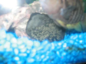 mini_Picture.webp