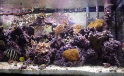 salt_tank_oct_03_3_1.jpg