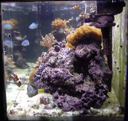 salt_tank_oct_03_5_1.jpg