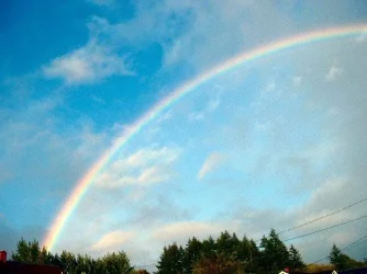 rainbow.webp