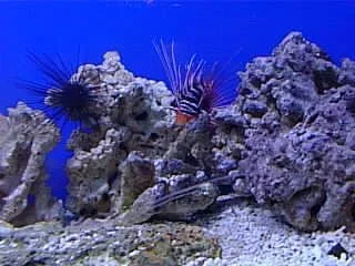 PIC00024.webp