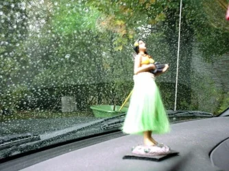 suzy.webp