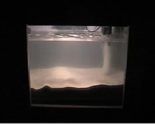 reef1_104.webp