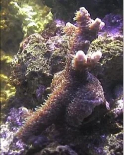 Picture_013.webp