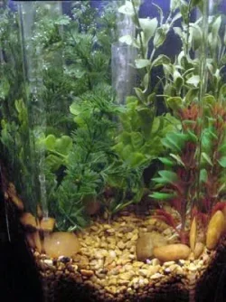 emptyfivegallon2.webp