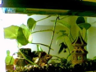 Picture_18.jpg