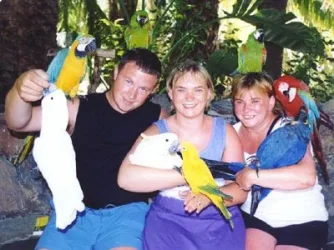 birds_web.webp