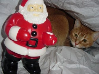 Christmas_Prep_11_22_03_008.jpg