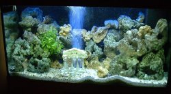 south_american_mod.JPG south_american_mod.JPG