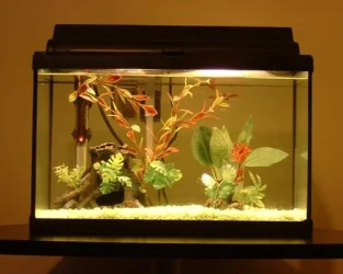 new_tank_1.webp