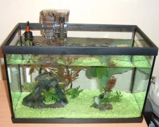 new_tank_3.webp